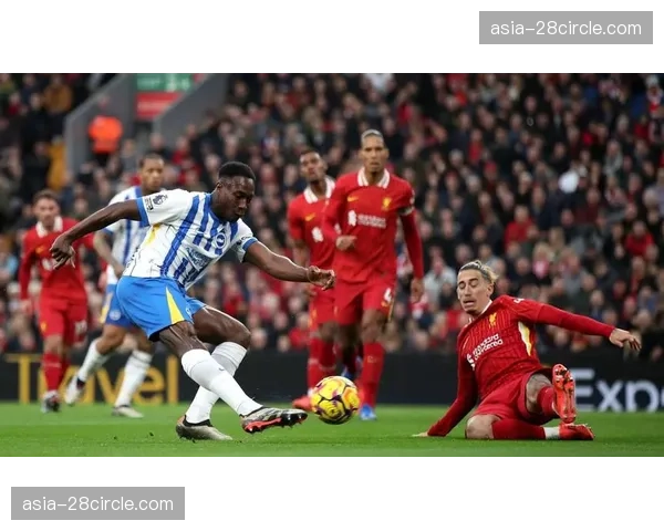 利物浦与布莱顿近5次交锋4胜1负 唯一失利在2025年5月